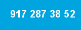 917 287 38 52 917 287 38 52